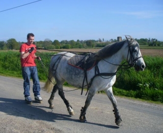  Roller-Joering-Übung 